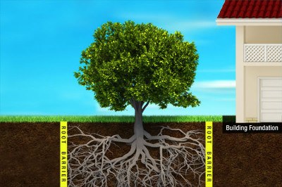 root barrier